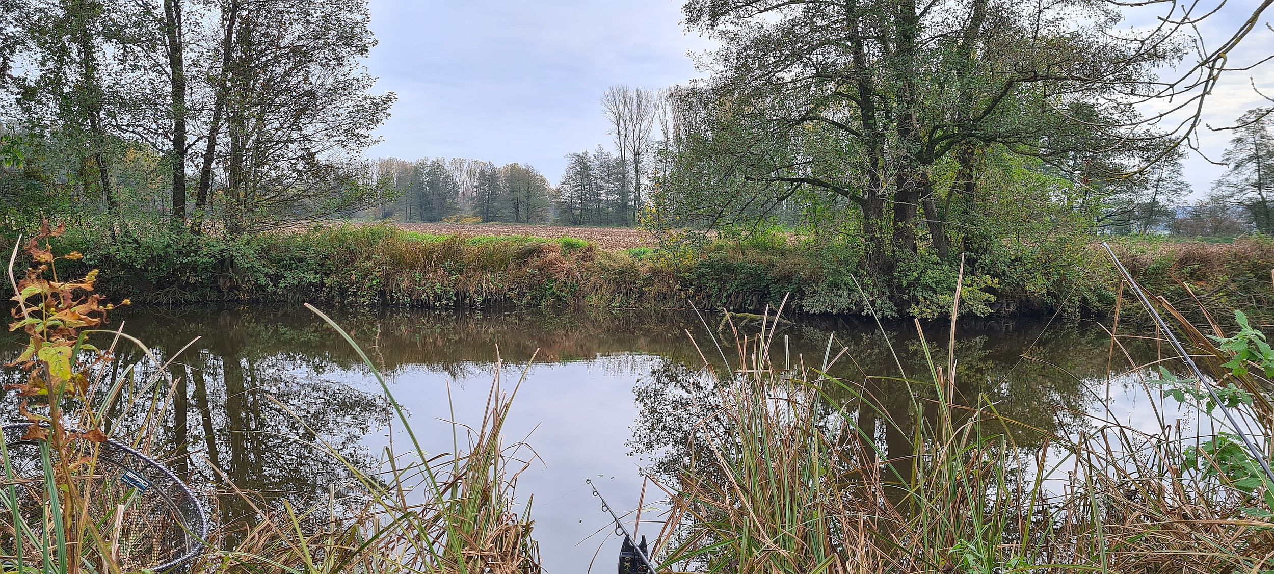 Karpfenangeln_am_Altwasser