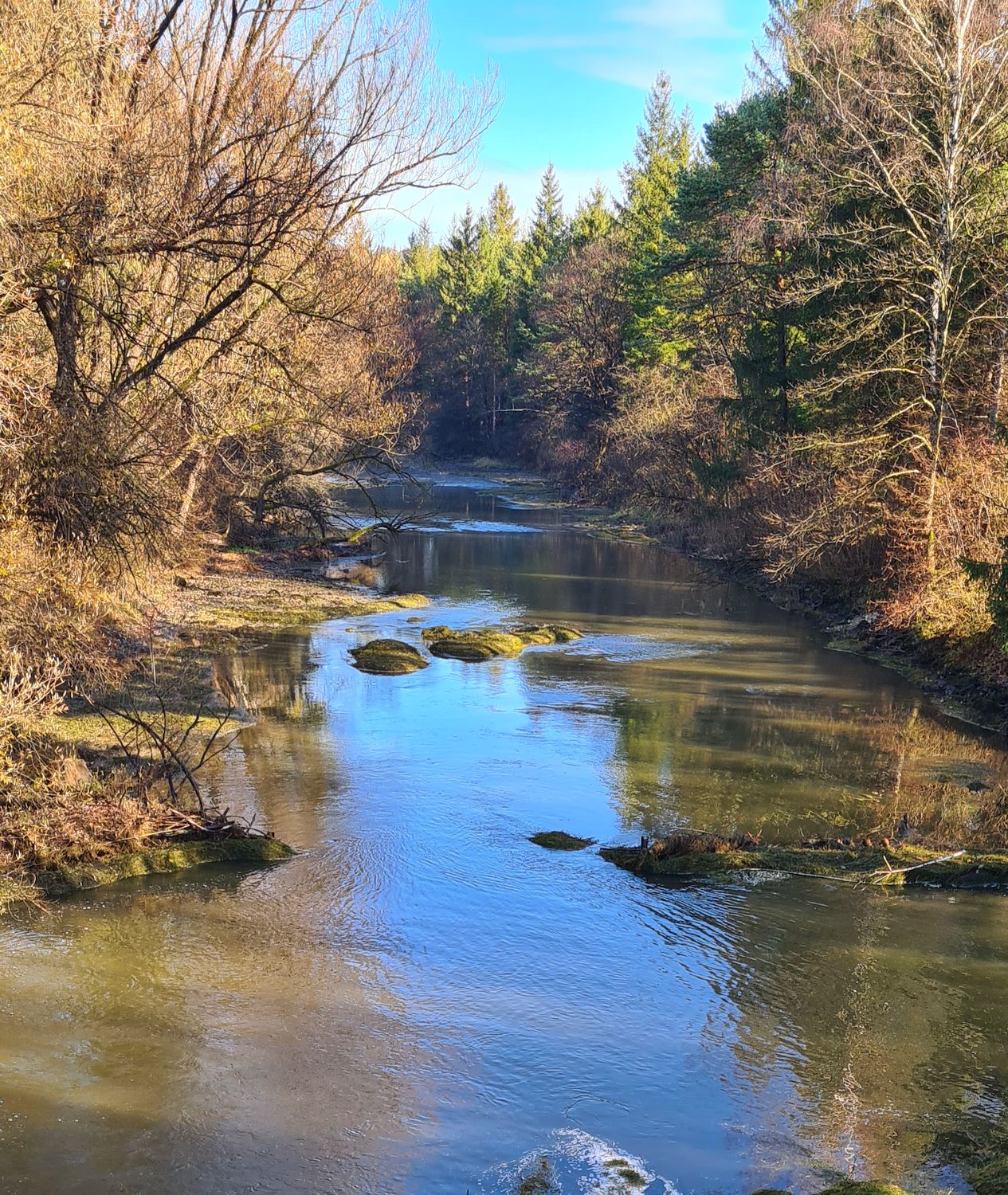 Von_der_Radlbrücke_Richtung_Isar