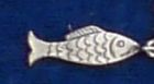Detail_Fisch